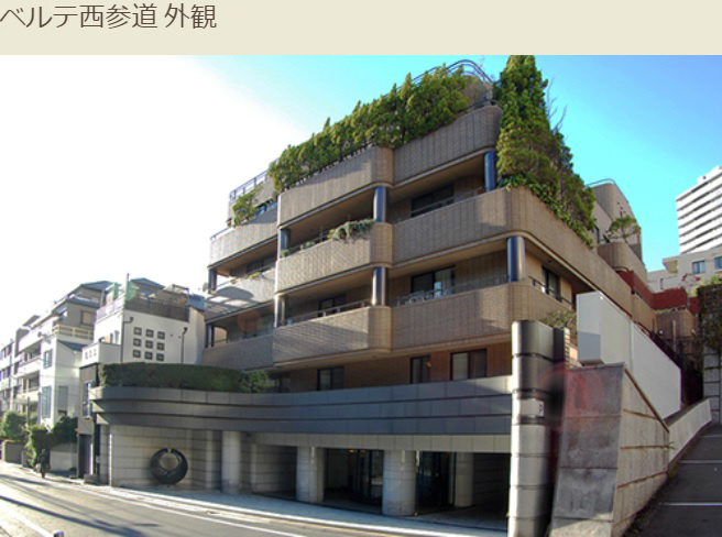 アルテカのベルテ-野村紘一考案の画像